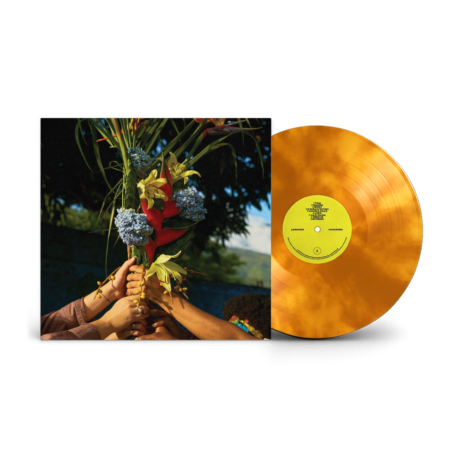 Vinilo "nomeolvides + PASARELA" (españa)
